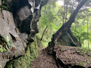 八丈島・裏見ヶ滝