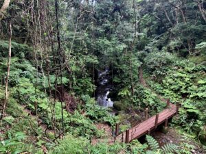 八丈島・裏見ヶ滝