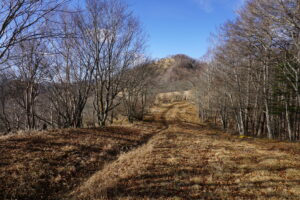 鷹ノ巣山