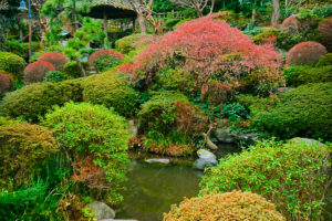 薬師の泉庭園