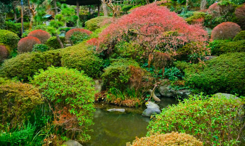 薬師の泉庭園