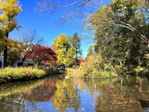 宝来公園