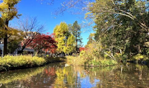 宝来公園