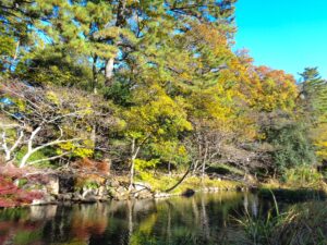 宝来公園