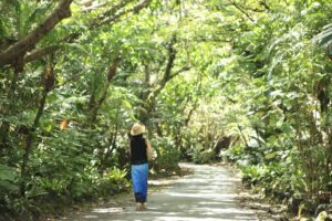 八丈植物公園