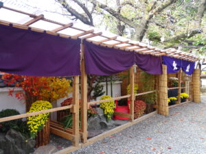 牛天神北野神社