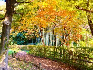 岡本静嘉堂緑地