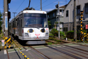 幸福の招き猫電車