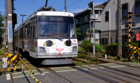 幸福の招き猫電車