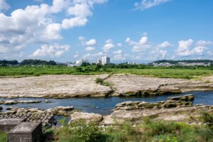 多摩川・牛群地形