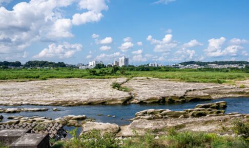 多摩川・牛群地形