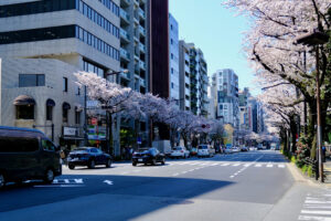 靖国通り（震災復興道路）