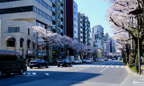 靖国通り（震災復興道路）