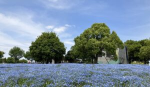 舎人公園・花と光のムーブメント