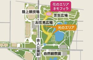 舎人公園・花と光のムーブメント