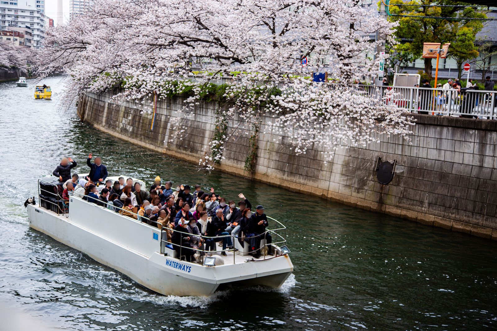 目黒川お花見クルーズ