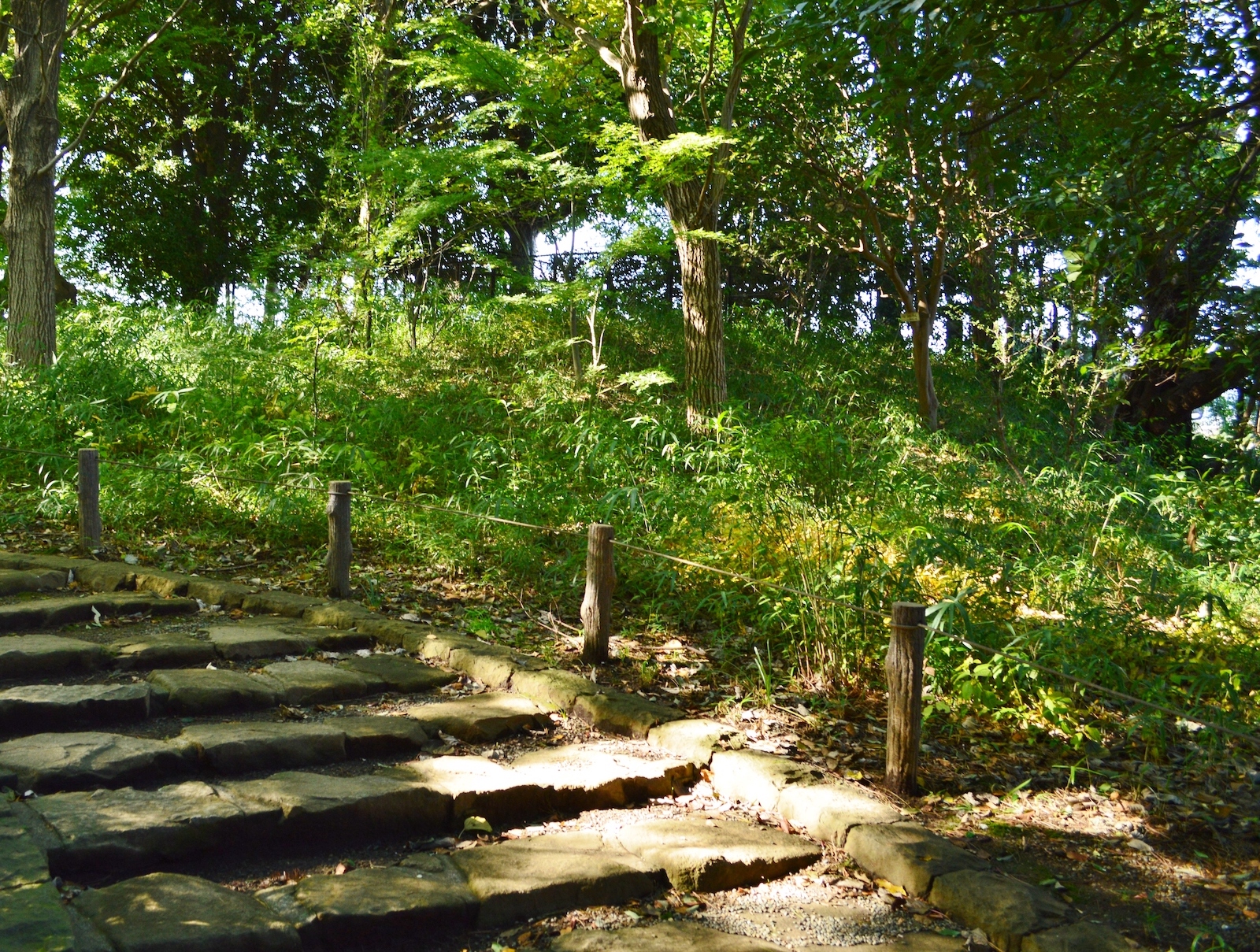 野見宿禰神社