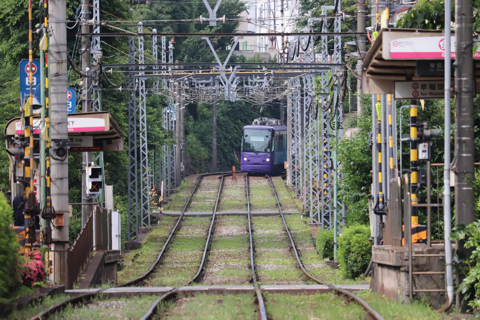 都電荒川線の前身、王子電気軌道とは!? | 東京とりっぷ