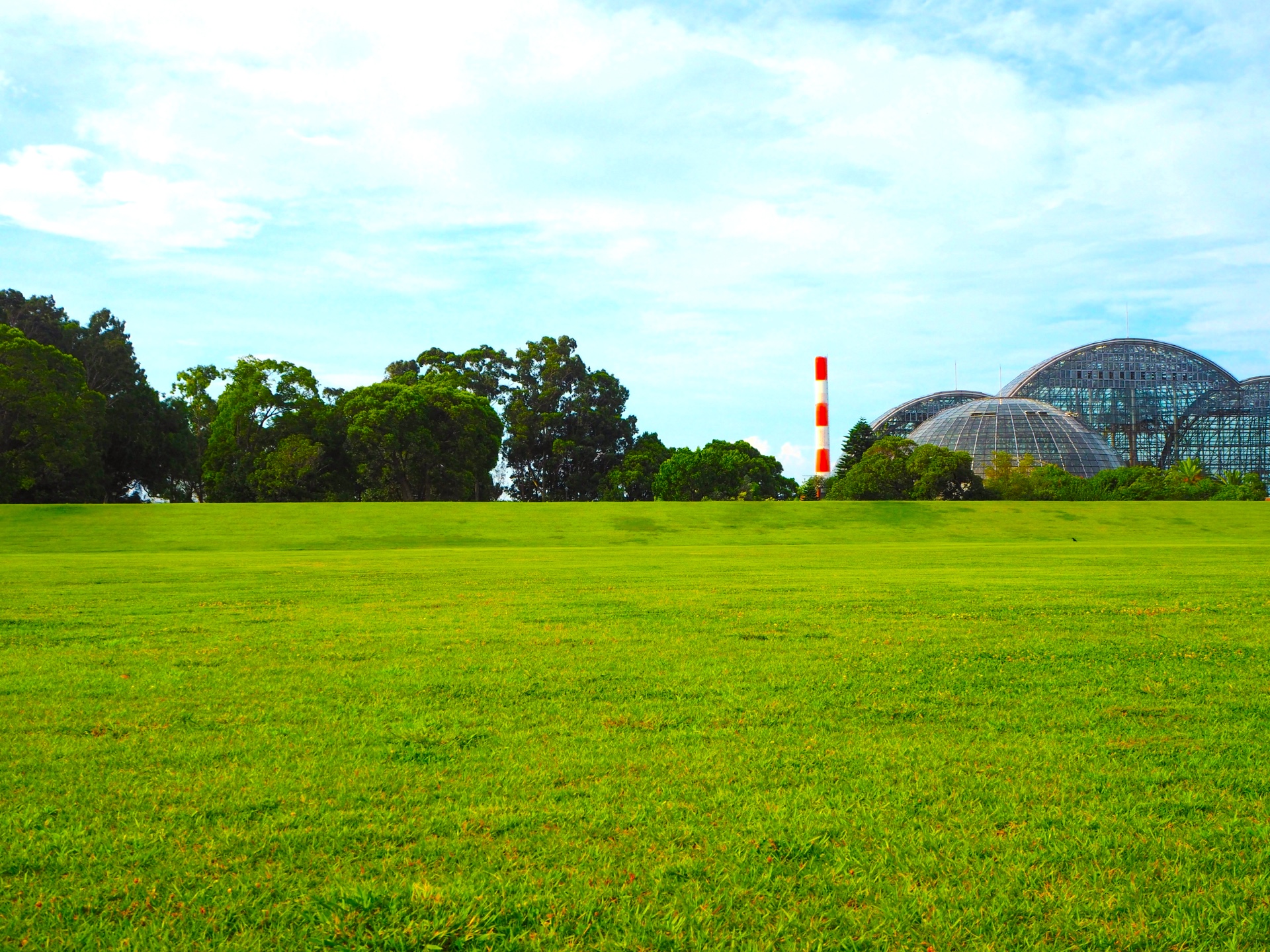 夢の島公園