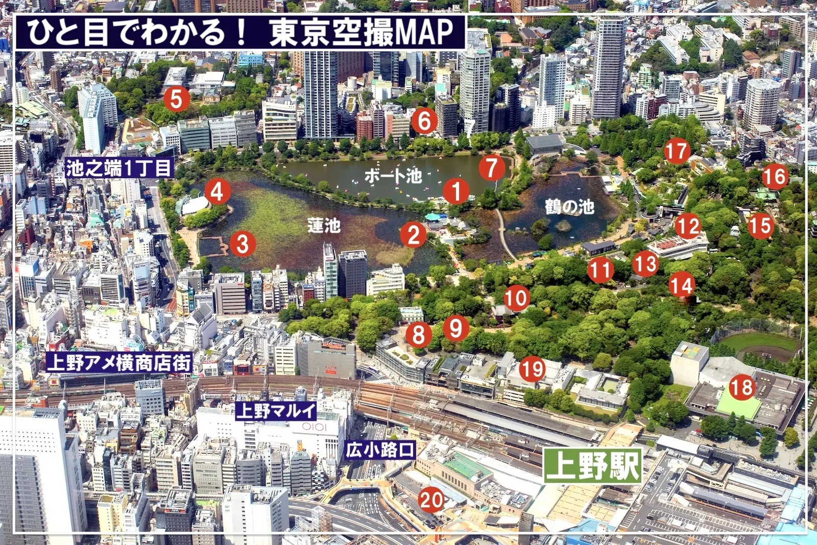 ひと目でわかる！ 東京空撮MAP】 不忍池&上野駅 | 東京とりっぷ