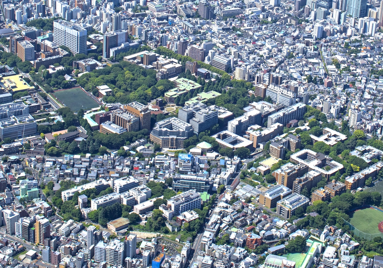 東京大学・本郷キャンパス