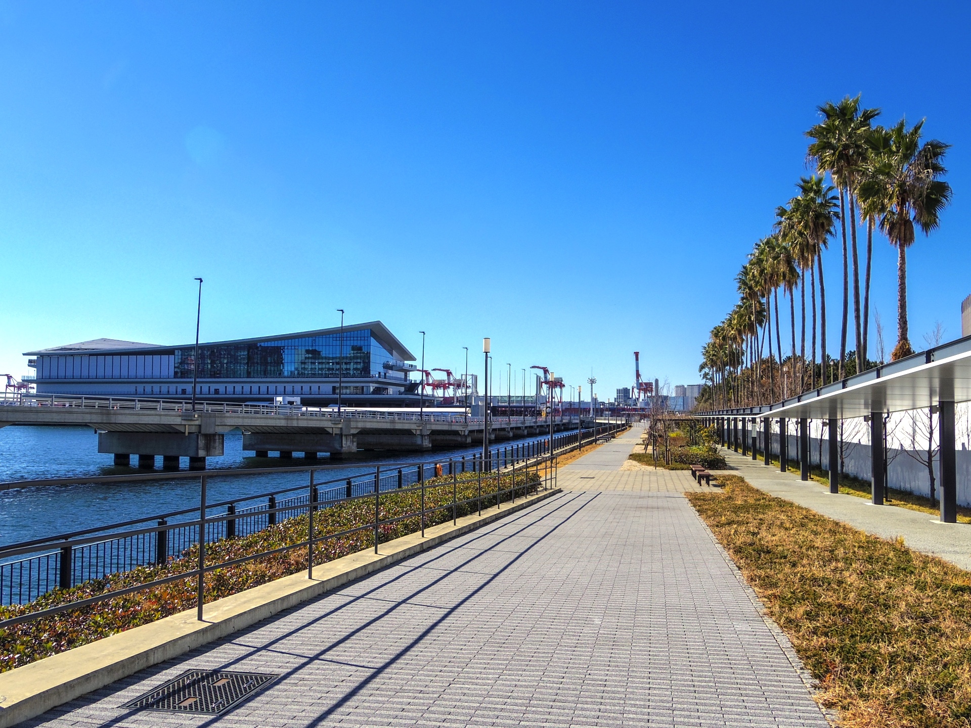 東八潮緑道公園