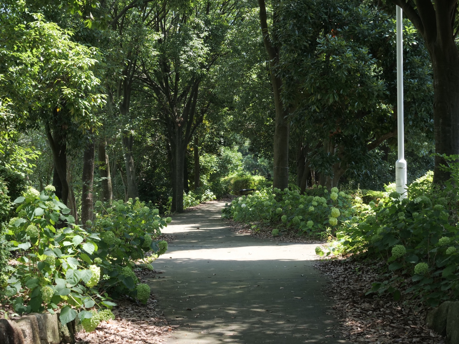 夢の島緑道公園