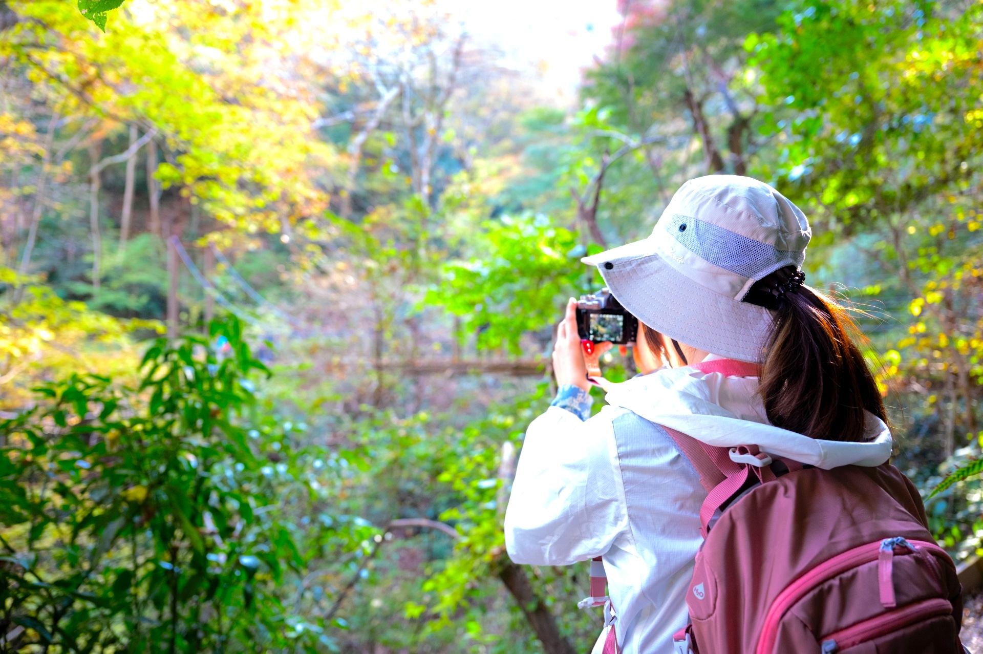 高尾山