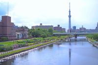 旧中川水辺公園
