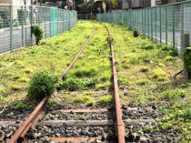 北王子線廃線跡