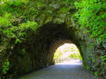 数馬隧道